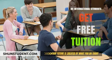 International Students: Free Tuition or Not?