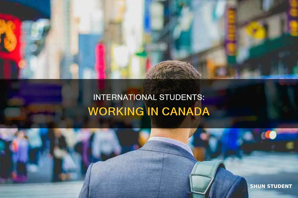 do international students get jobs in canada