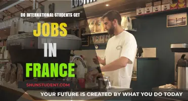 Job Prospects for Foreign Students in France