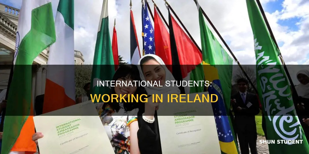 do international students get jobs in ireland