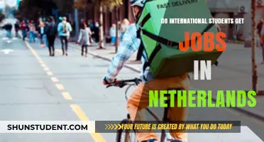 Job Prospects for International Students in the Netherlands