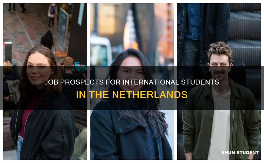 do international students get jobs in netherlands