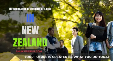 International Students: Working in New Zealand