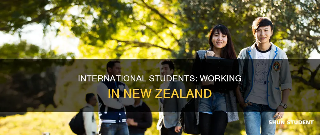 do international students get jobs in new zealand