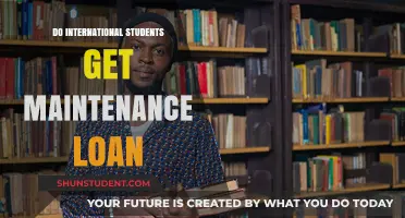 International Students: Are Maintenance Loans Available?