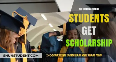Scholarships for International Students: How to Get Them?