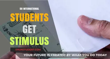 Stimulus Checks for International Students: Who Gets Them?