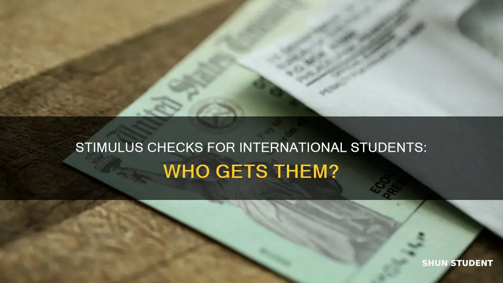 do international students get stimulus