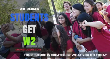 Understanding W-2 Forms: International Students' Guide