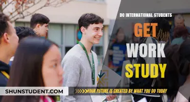 Work-Study Opportunities: Are International Students Eligible?