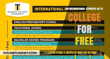International Students: Free College Education?