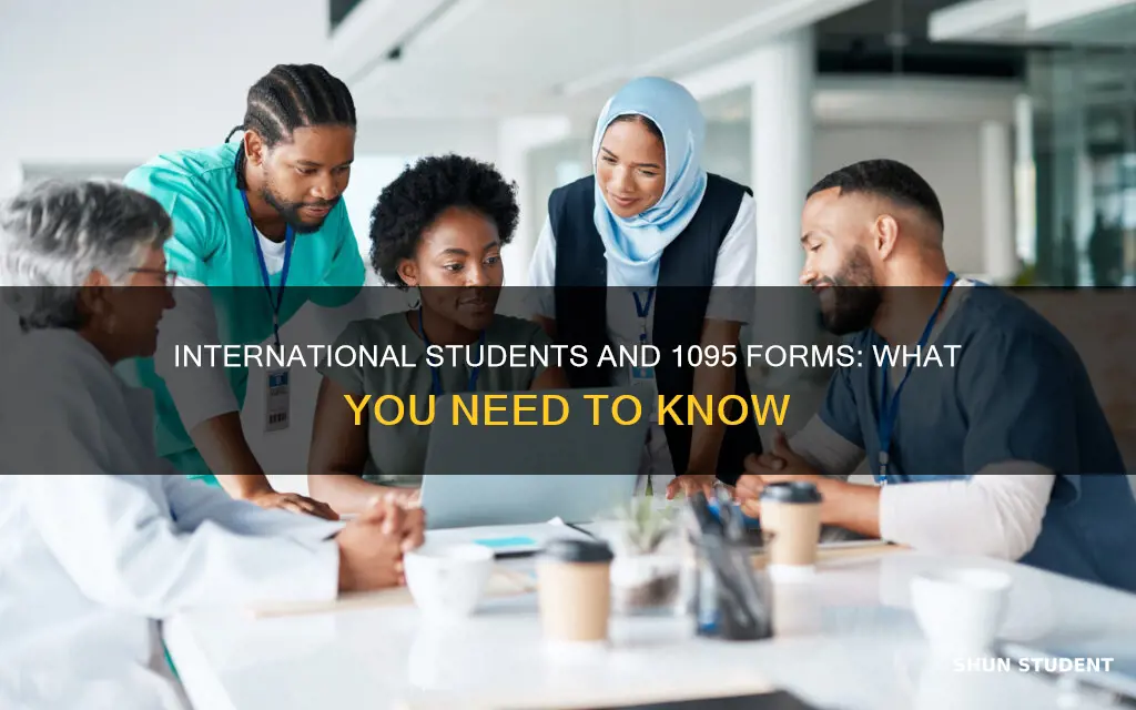 do international students have 1095