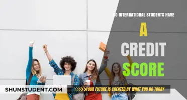 Credit Scores: A Guide for International Students