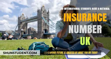 International Students: Do They Need a UK National Insurance Number?