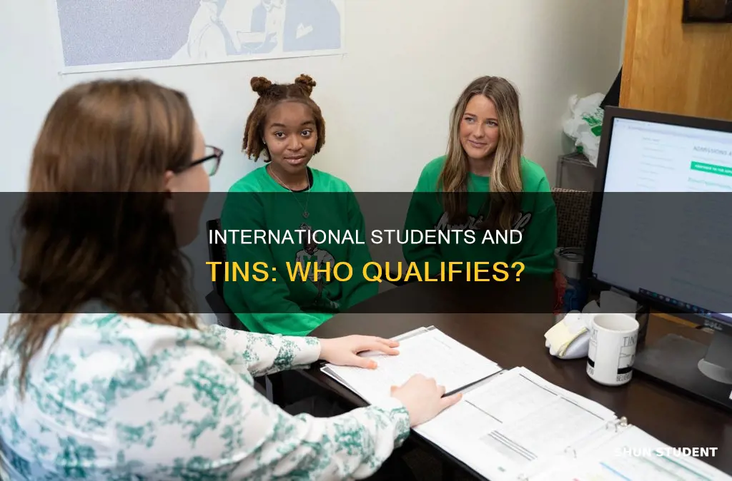 do international students have a tin