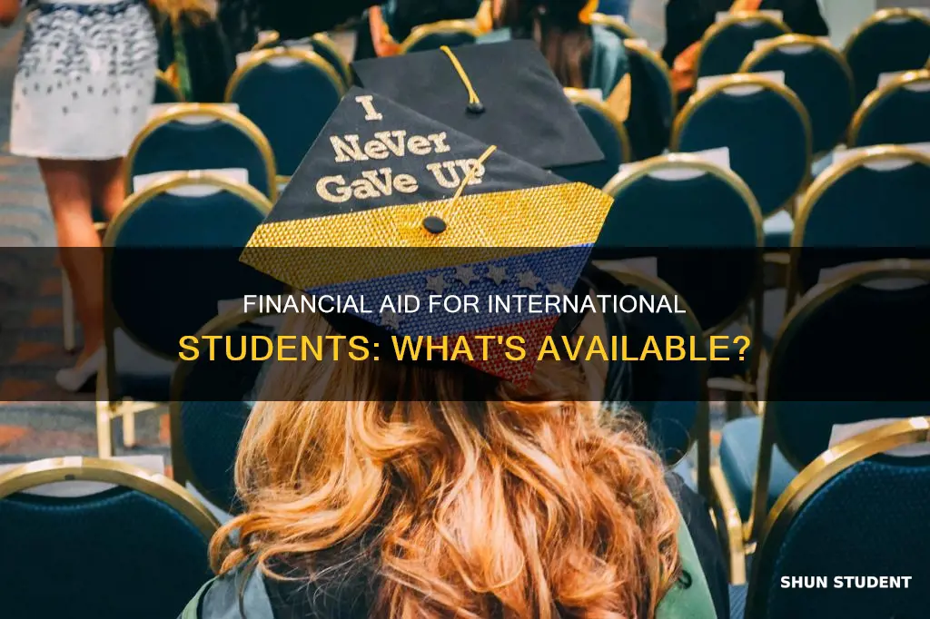 do international students have access to financial aid