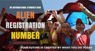 International Students and Their Alien Registration Numbers