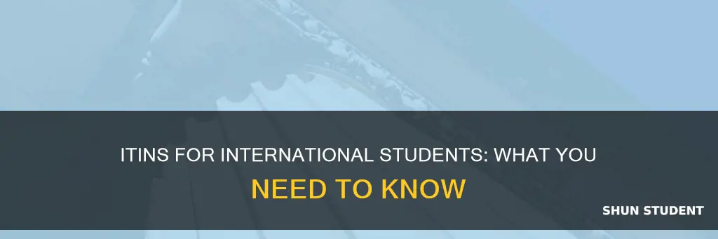 do international students have an itin