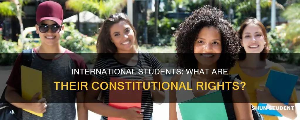do international students have constitutional rights