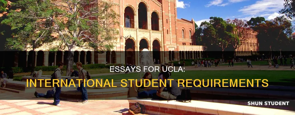 do international students have tl write essays in ucla application