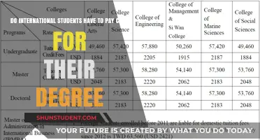 Paying for Degrees: International Students' Payment Options