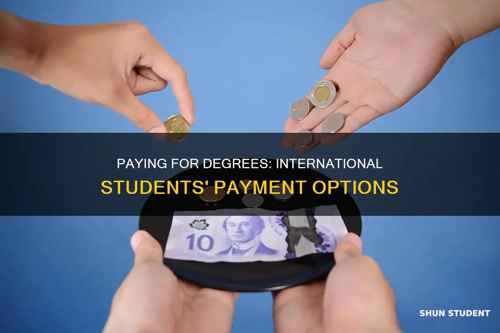do international students have to pay cash for their degree