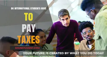 International Students and Taxes: What You Need to Know