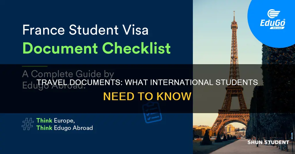do international students have travel documents