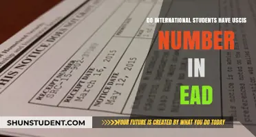 USCIS EAD Numbers: International Students' Guide