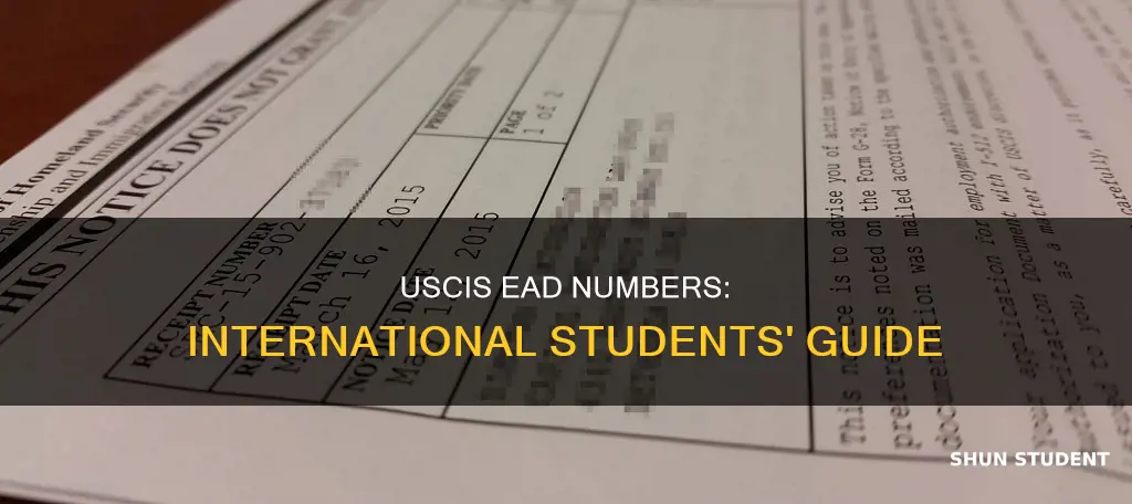 do international students have uscis number in ead