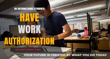 Work Authorizations: International Students' Rights and Privileges