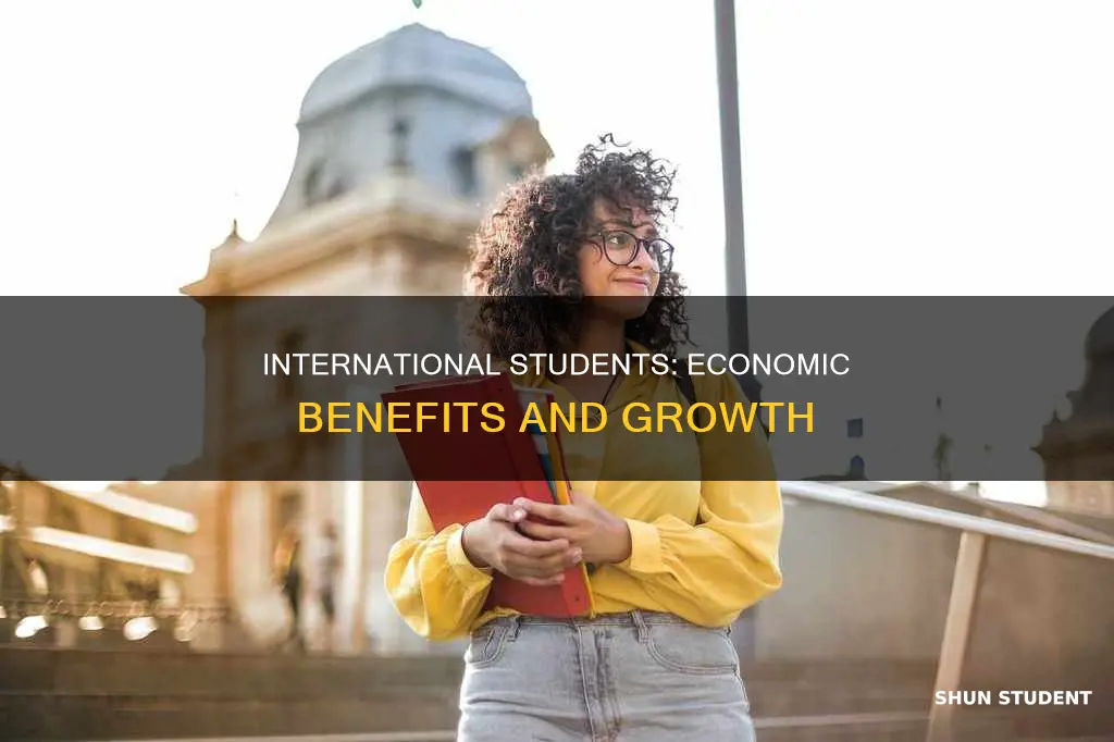 do international students help the economy