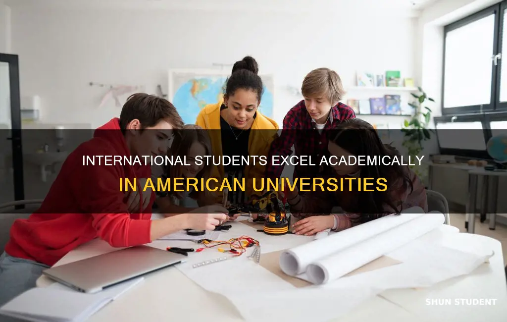 do international students in american university better academically