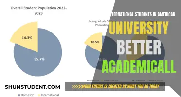International Students Excel Academically in US Universities