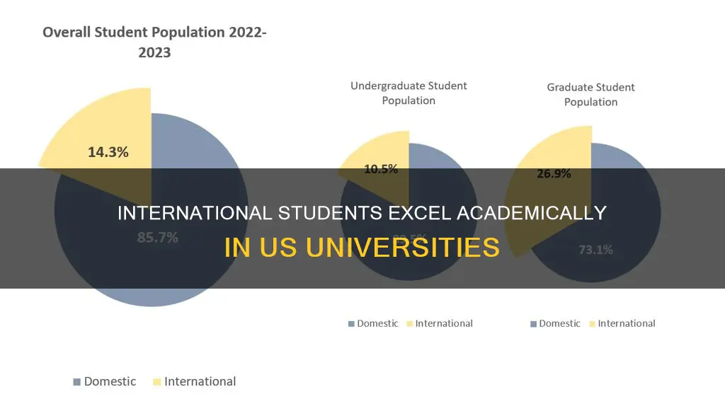 do international students in american university better academically