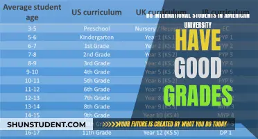 International Students: American University Grade Performance