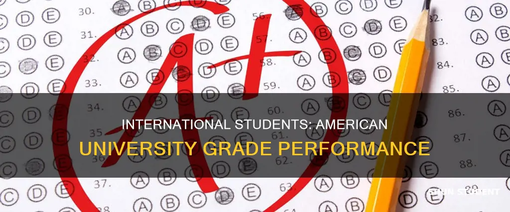 do international students in american university have good grades