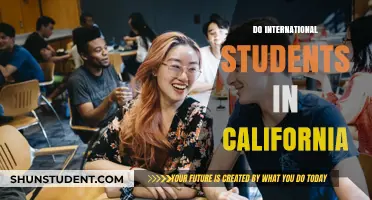 International Students: California's Education Hub