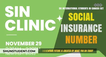 International Students in Canada: Are SINs Available?