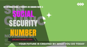 Social Insurance Numbers: International Students in Canada
