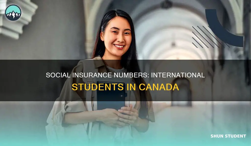 do international students in canada have a social security number