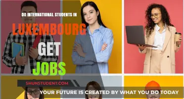 Job Prospects for International Students in Luxembourg