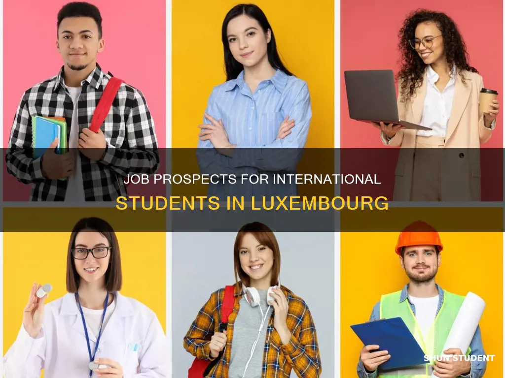 do international students in luxembourg get jobs
