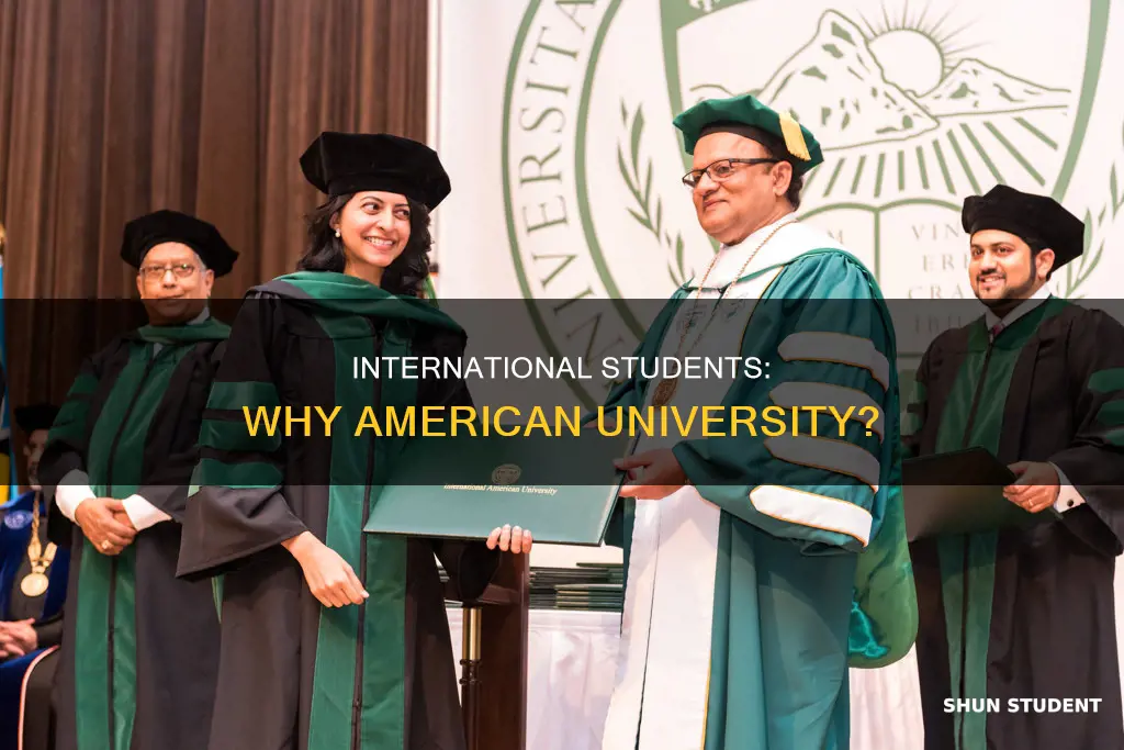 do international students like americanuniversity