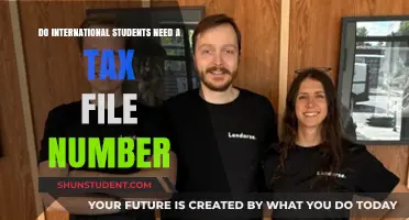 Tax File Numbers: A Must-Have for International Students