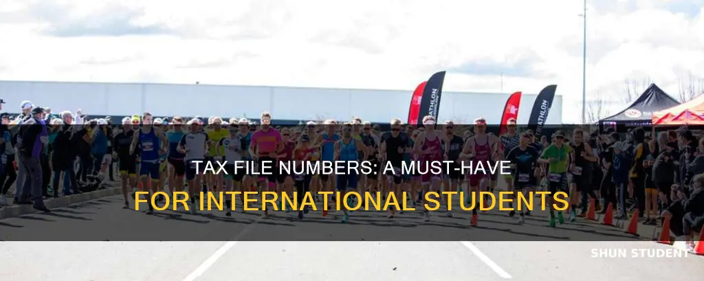 do international students need a tax file number