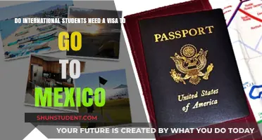 Visa Requirements for International Students Visiting Mexico