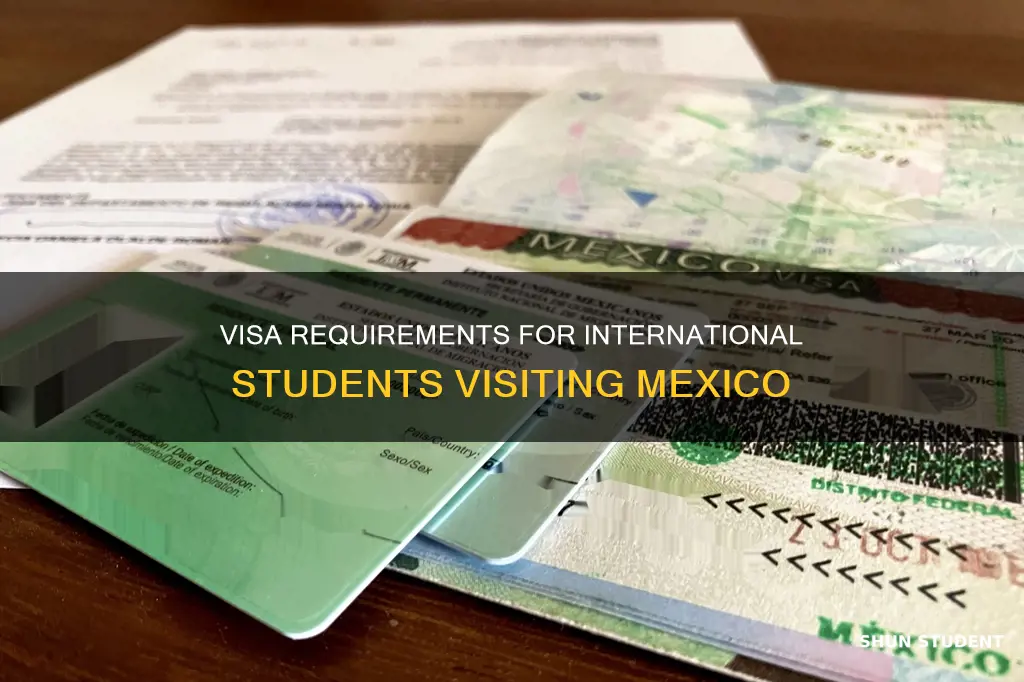 do international students need a visa to go to mexico
