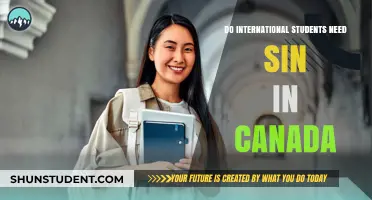 International Students in Canada: SIN Card Essentials