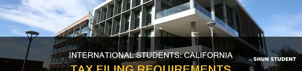 do international students need to file california taxes